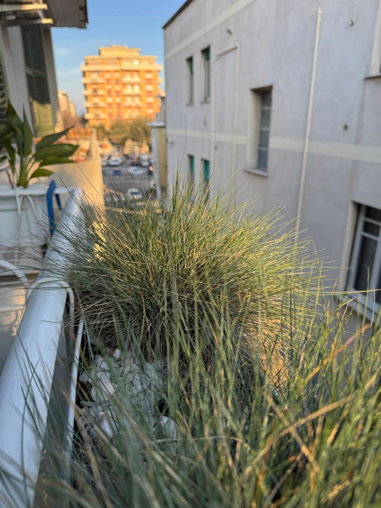 Okra Apartment Pescara Centro Eksteriør bilde